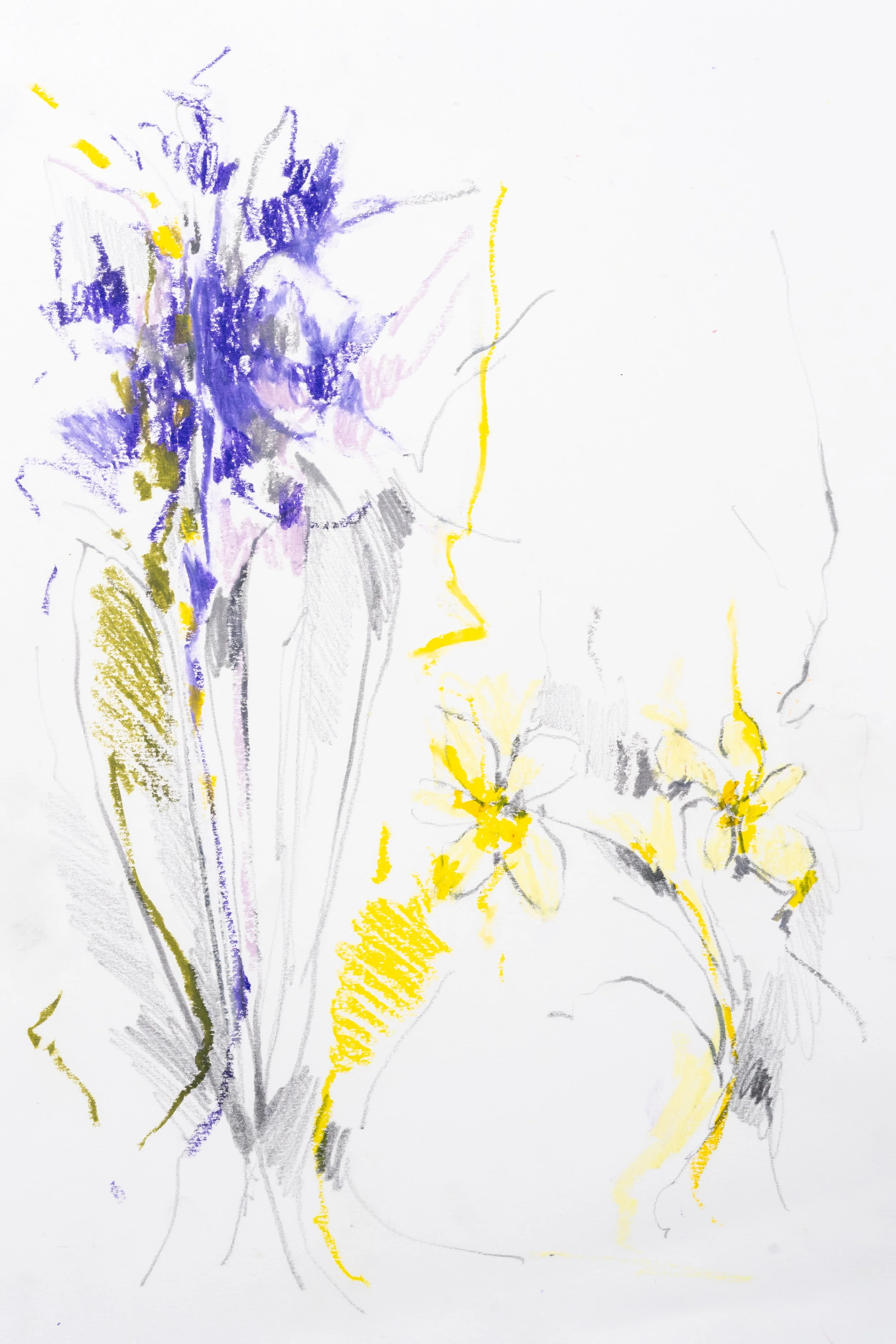 Métiersd’artEmbroideryFellowship-AliceDrawings-17.jpg