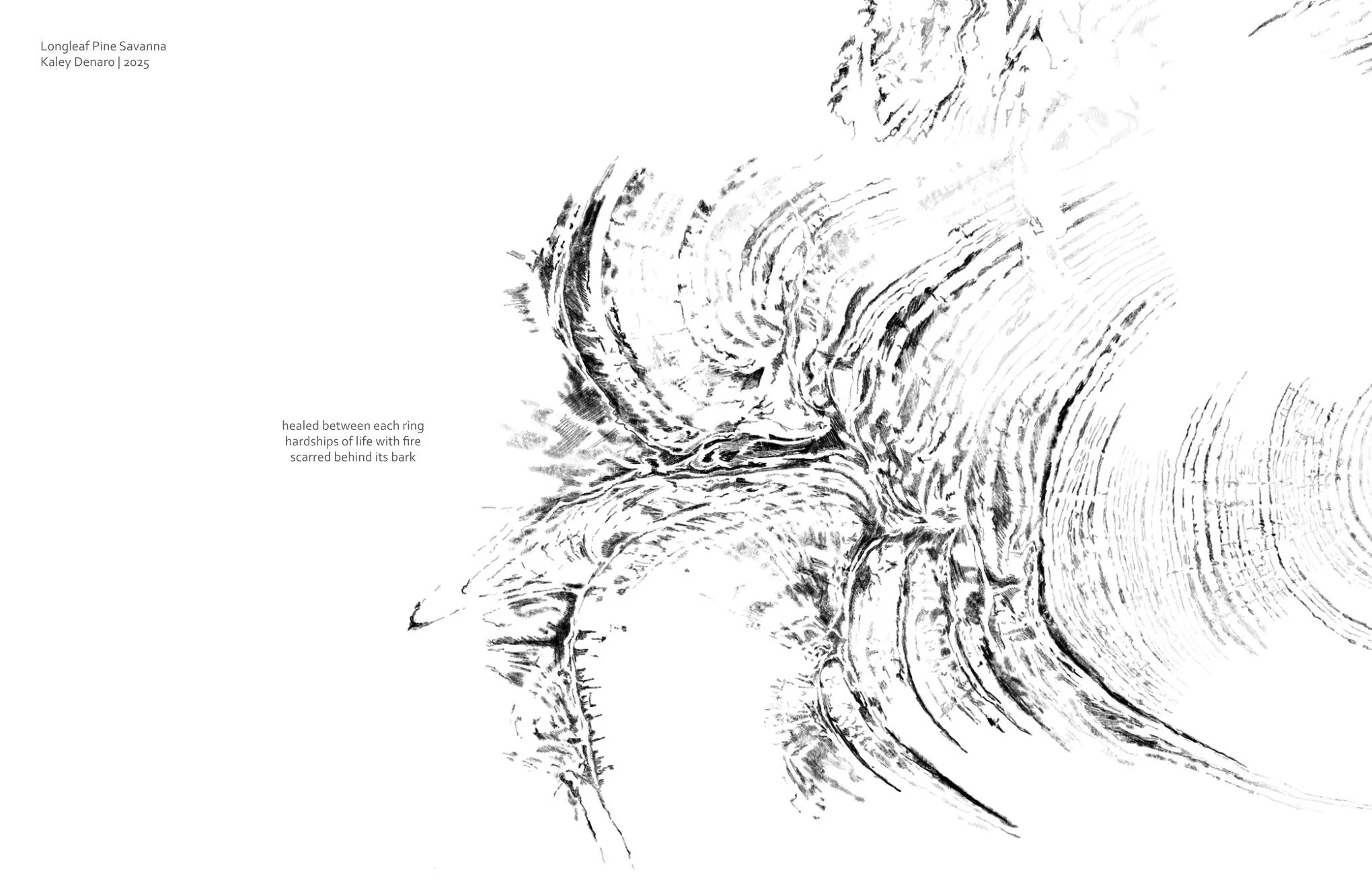 20250506 Project 3 Submission 14.jpg