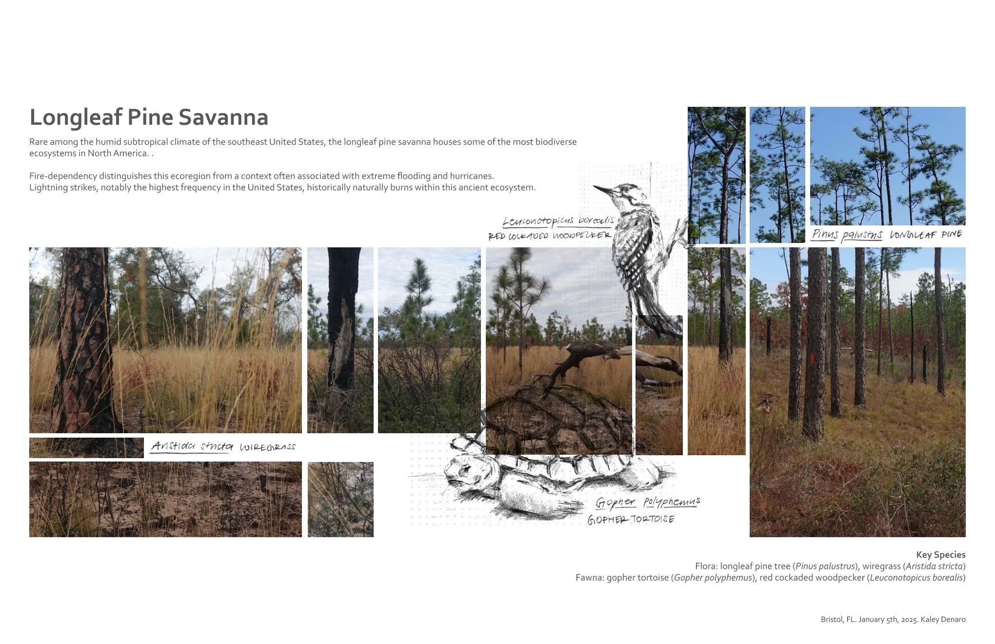 20250506 Project 3 Submission 3.jpg