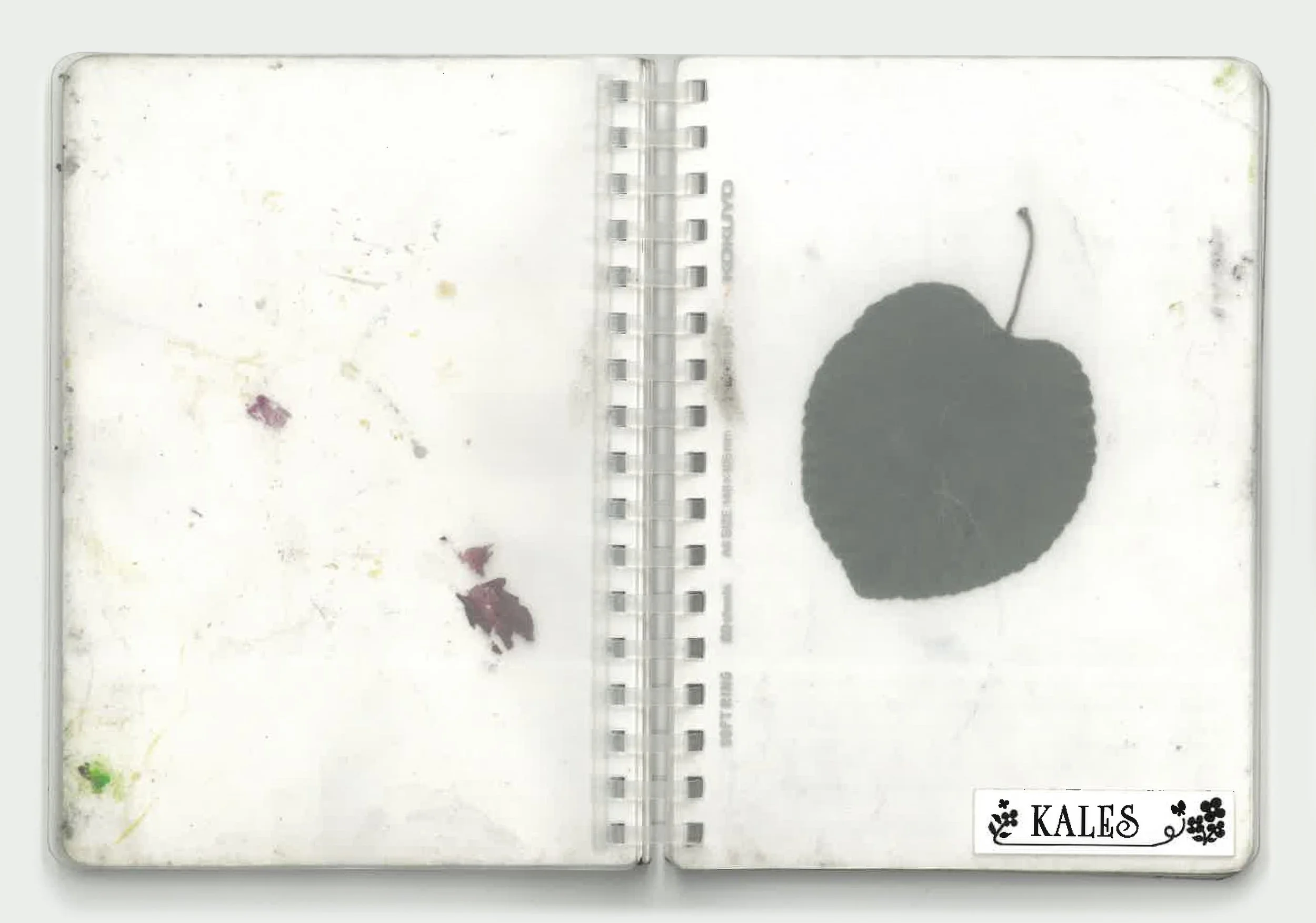 click to flip through sketchbook
