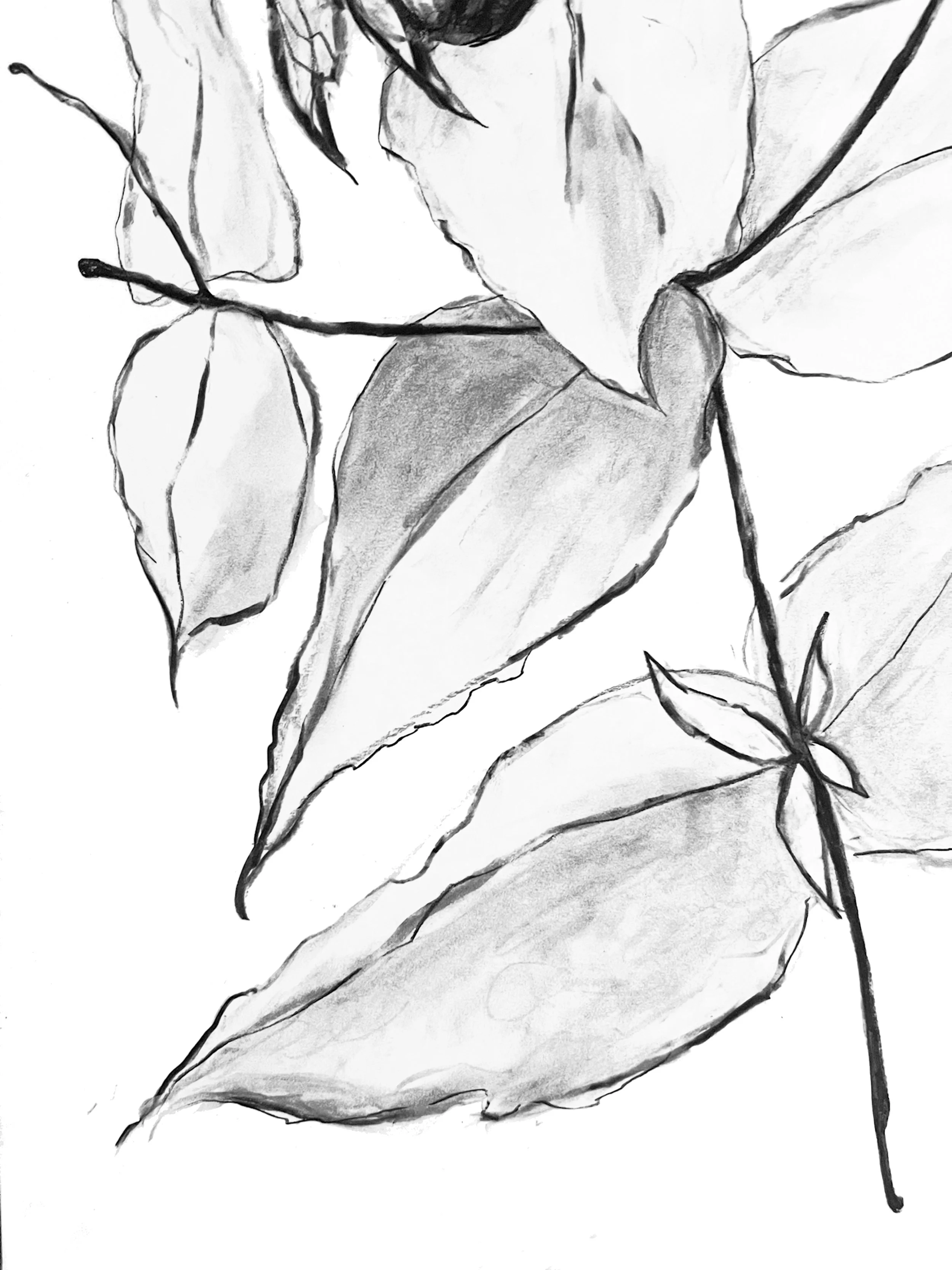 debating if i want the leaves to be grey or white...