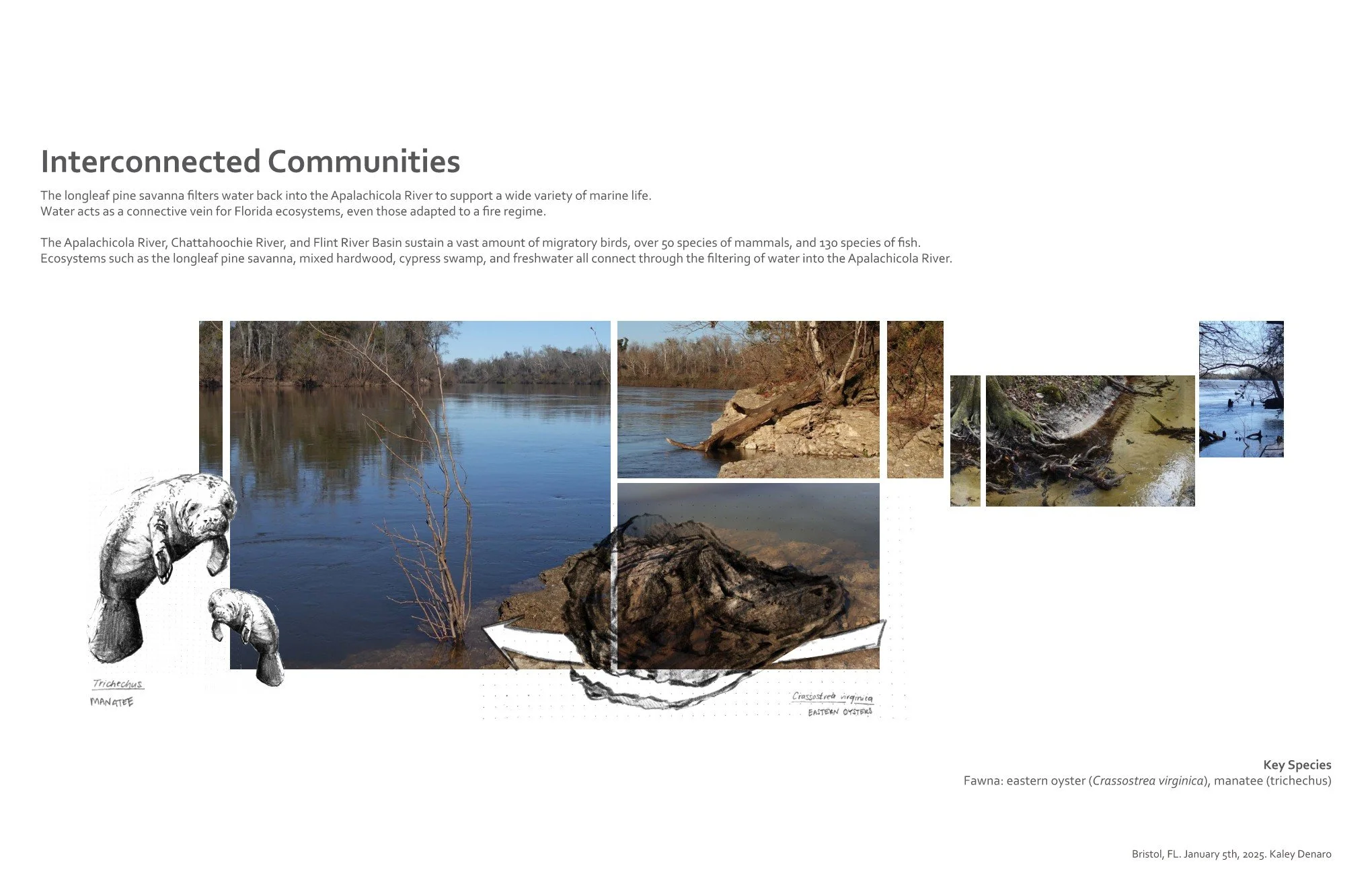 20250506 Project 3 Submission 4.jpg