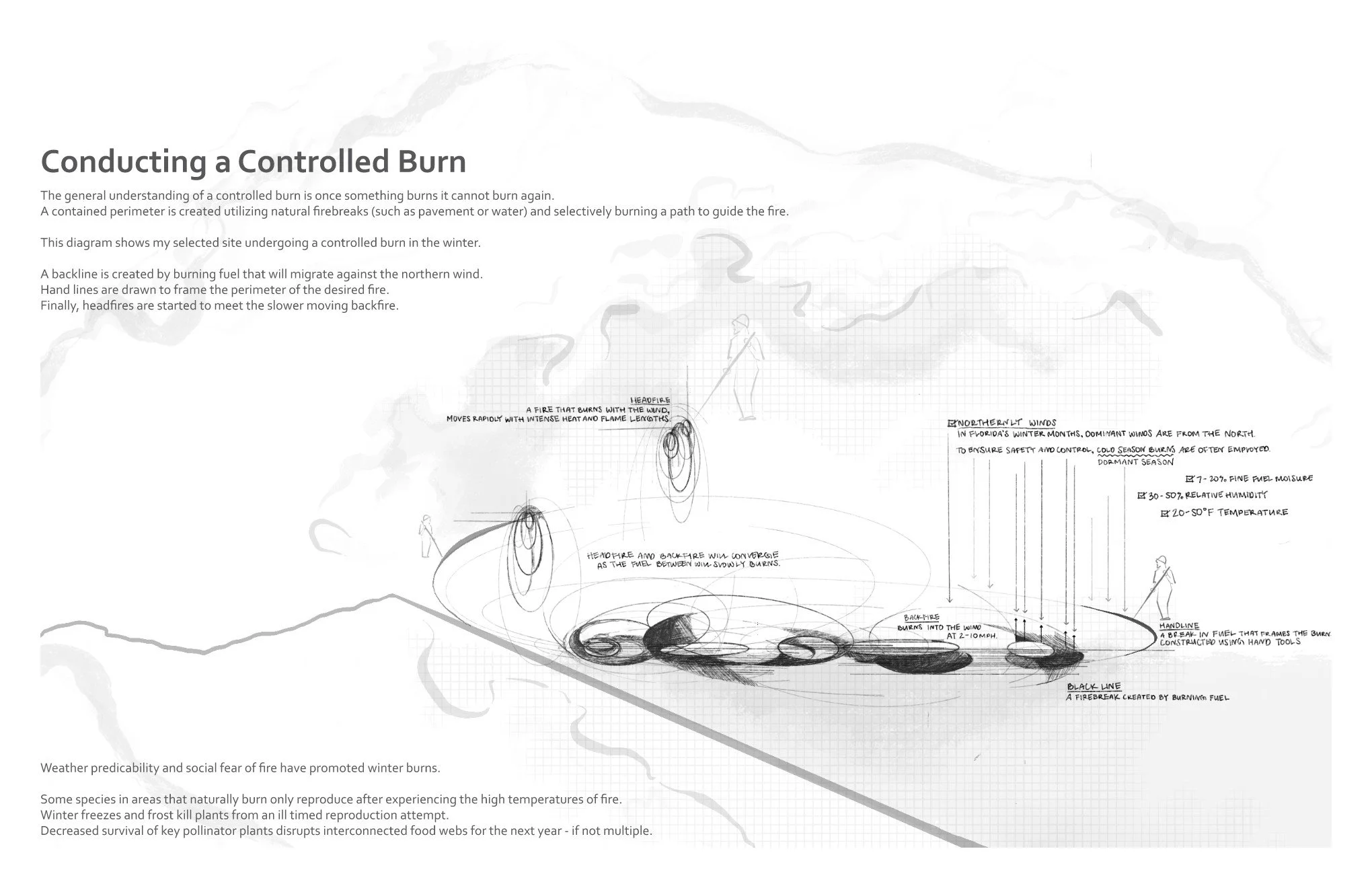 20250506 Project 3 Submission 12.jpg
