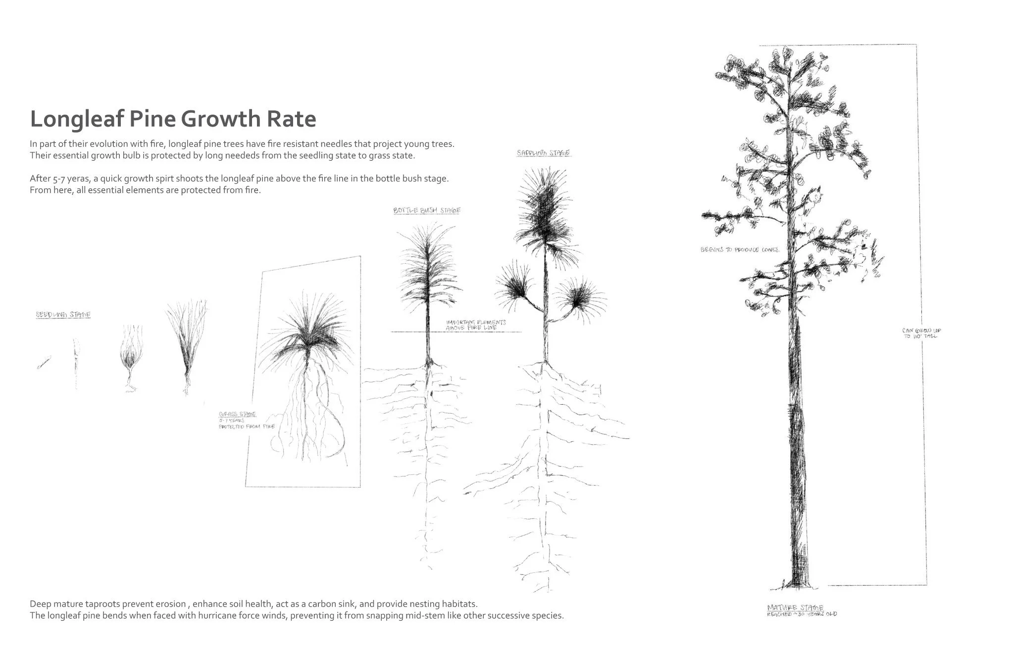 20250506 Project 3 Submission 10.jpg