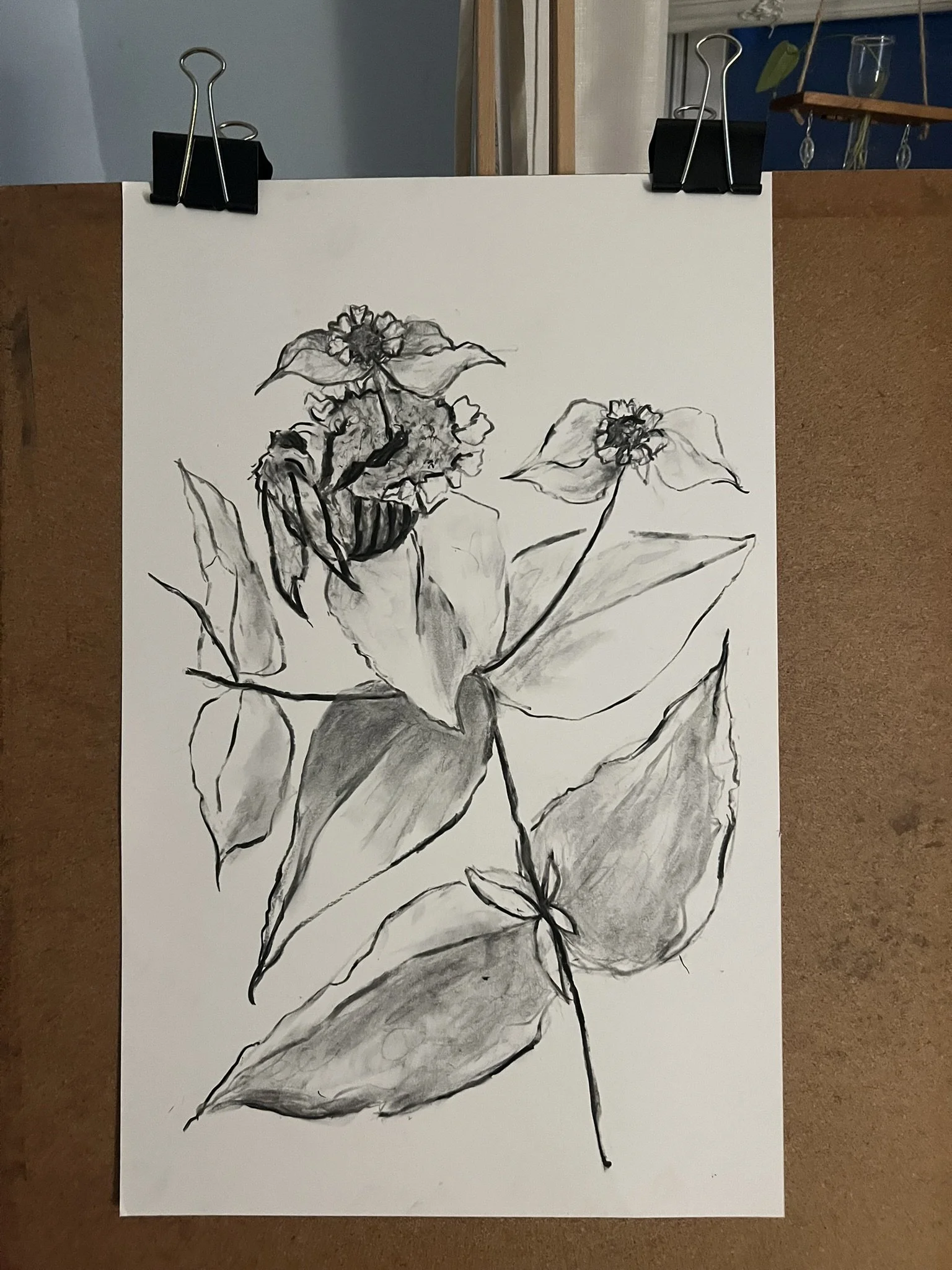 sketching setup