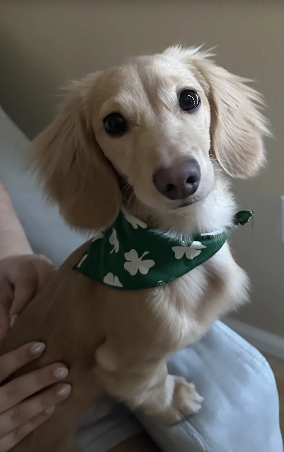 how is he this cute??