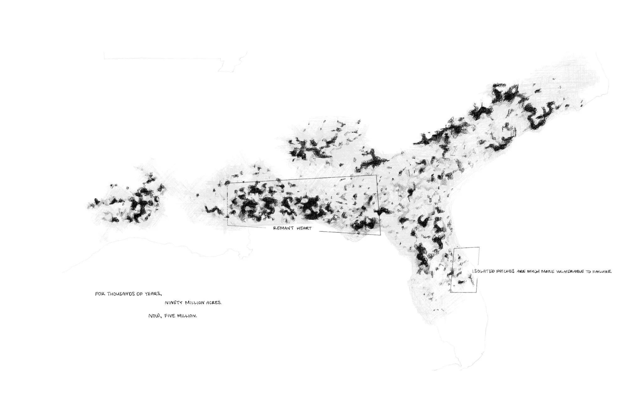 20250506 Project 3 Submission 8.jpg