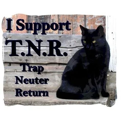 Sign supporting T.N.R. with a black cat illustration and the words 'I Support T.N.R. Trap Neuter Return'.