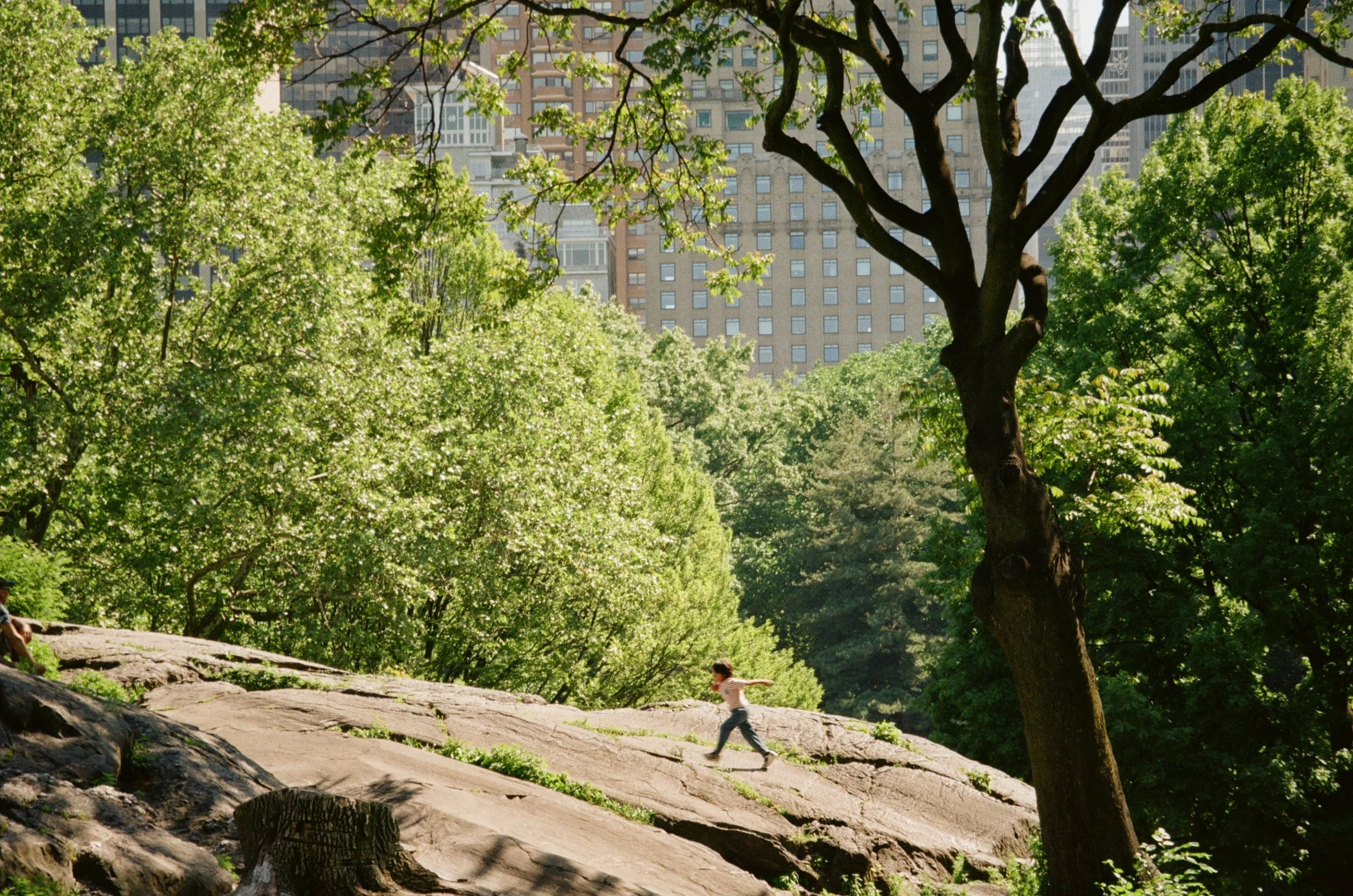kodak_200_c_41_41872_133917_298309_002983090008.jpeg
