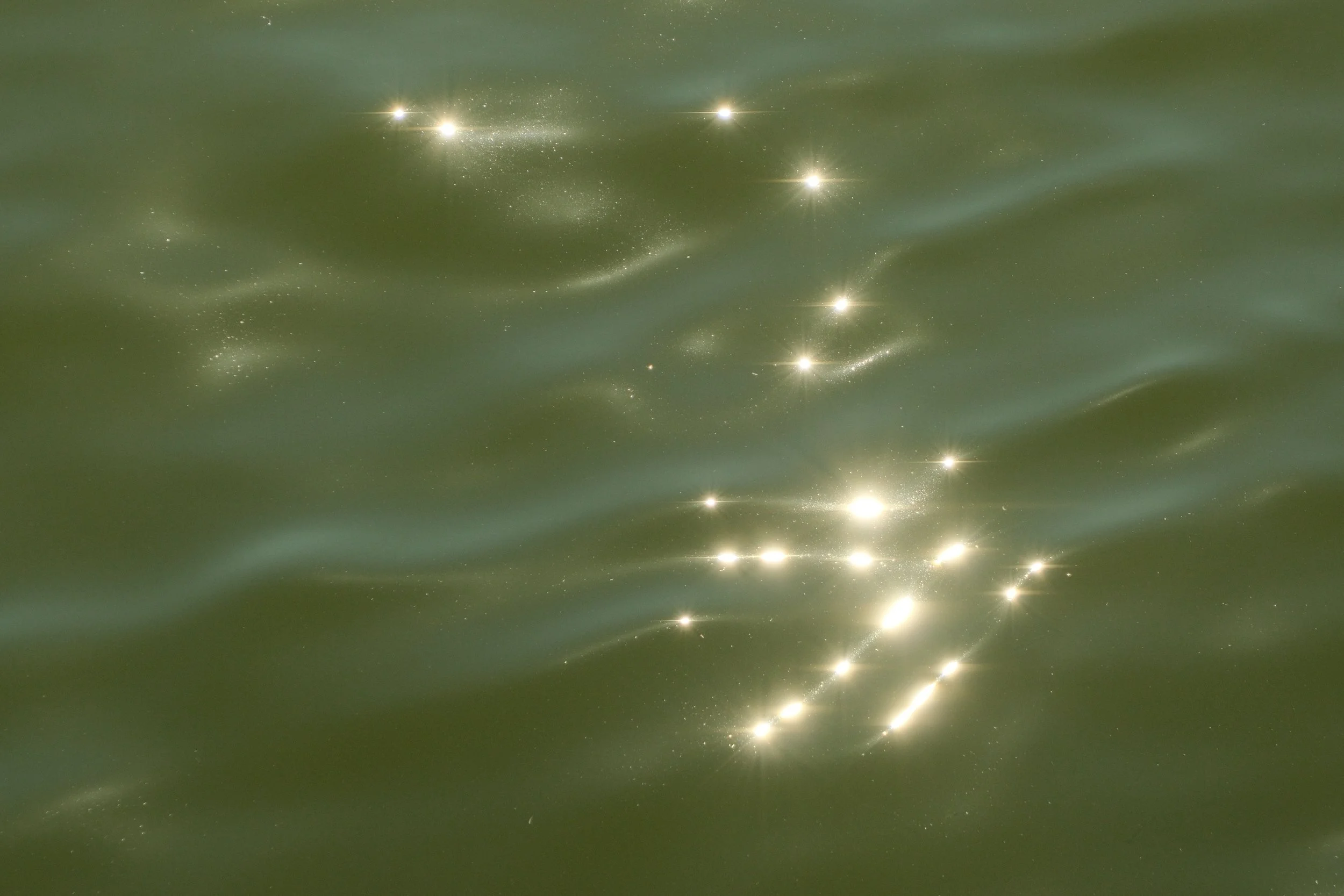 DSCF3335.jpg