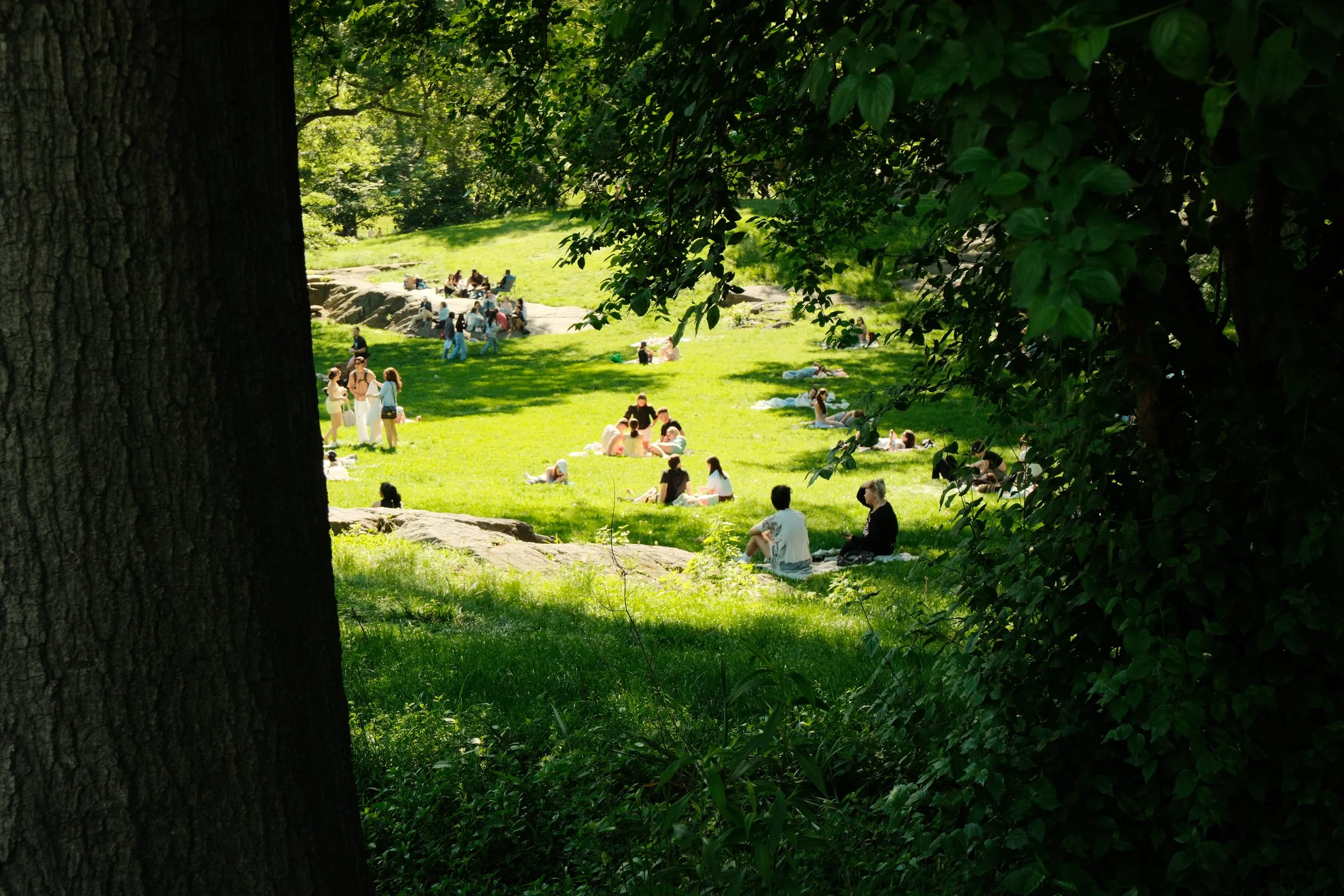 DSCF2250.jpg