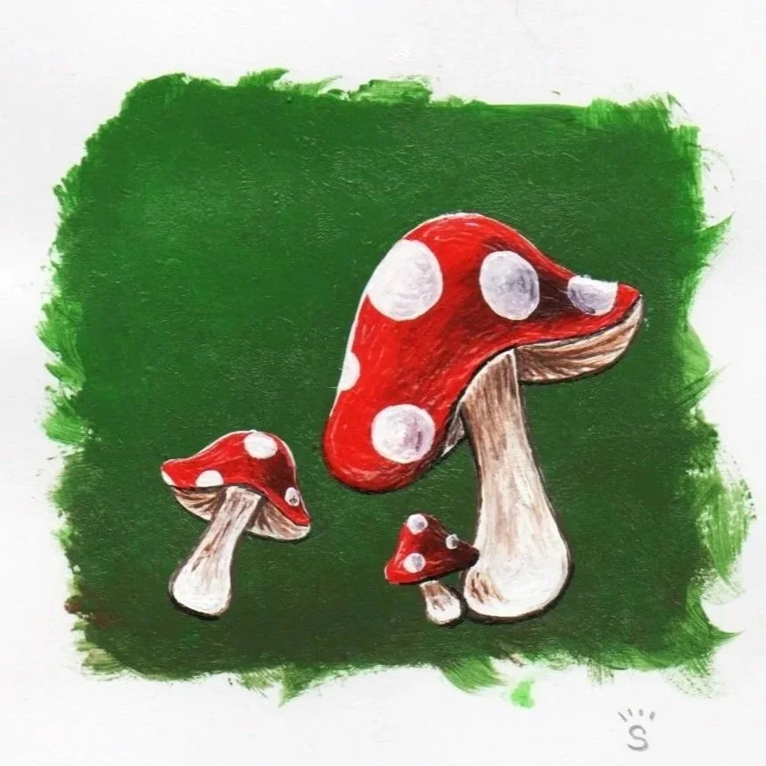 Mushrooms_20260727_0001.jpg