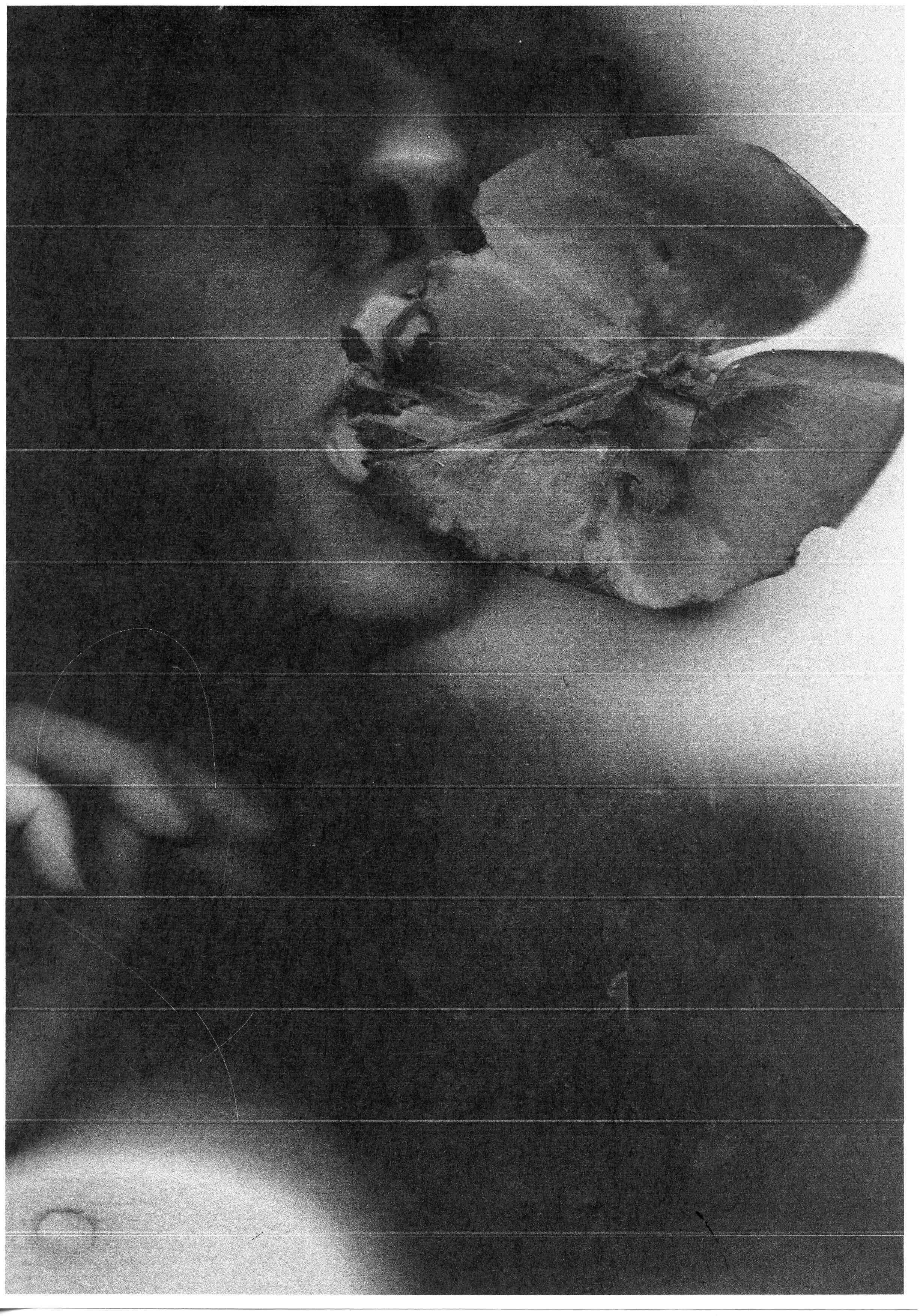 Three nudes (Copy)