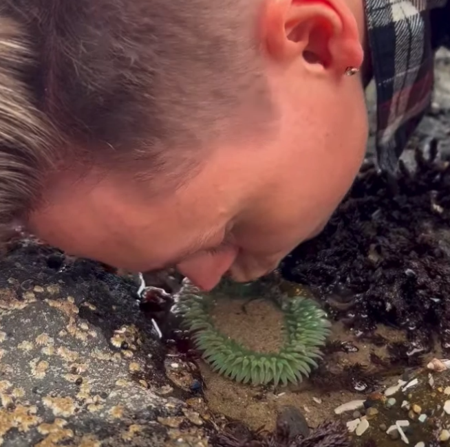 Man kissing sea anemone (Copy)
