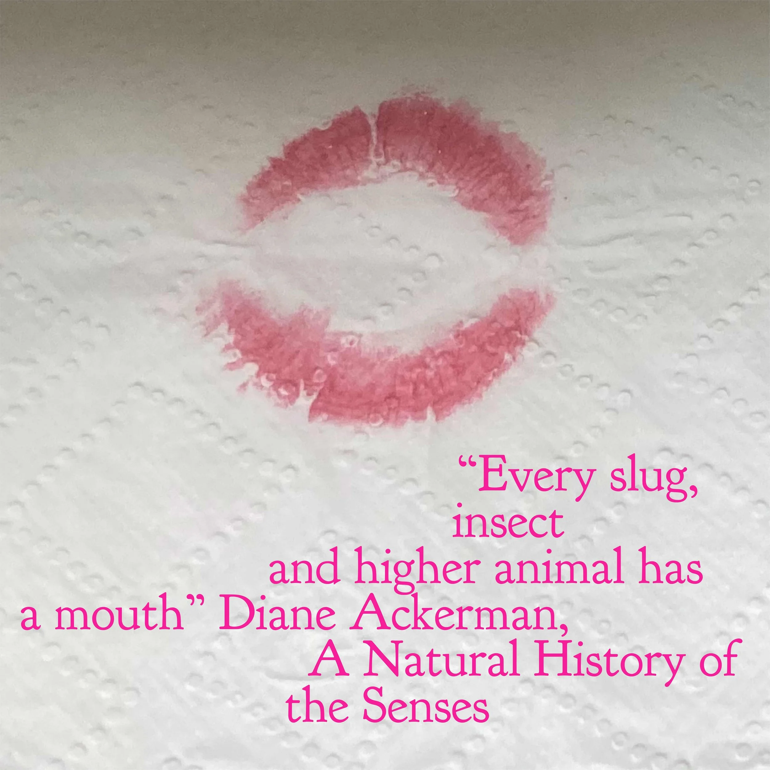 Diane Ackerman quote