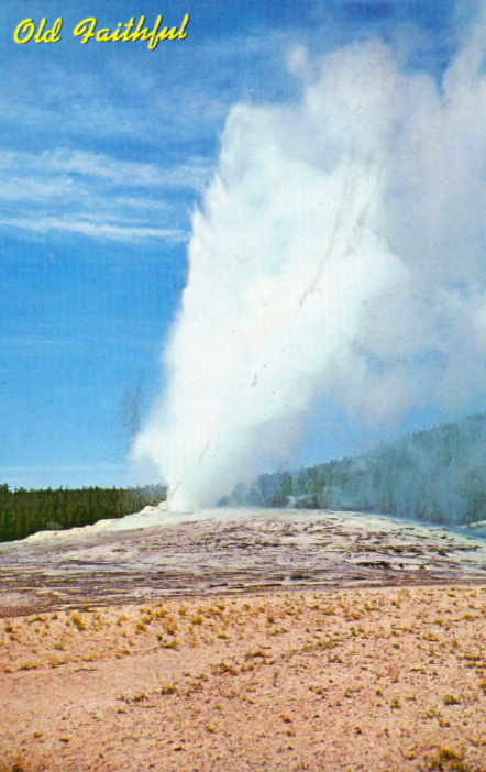 Old faithful postcard (Copy)