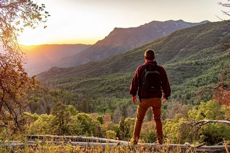 Man standing on a log overlooking a valley at sunset with mountains and dense forest in the background.