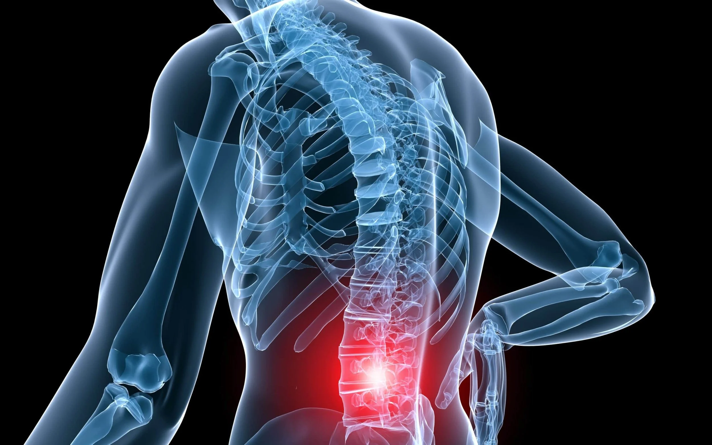 Digital illustration of a human skeletal system highlighting the lower back area in red, indicating pain or injury, with the upper body partially visible.