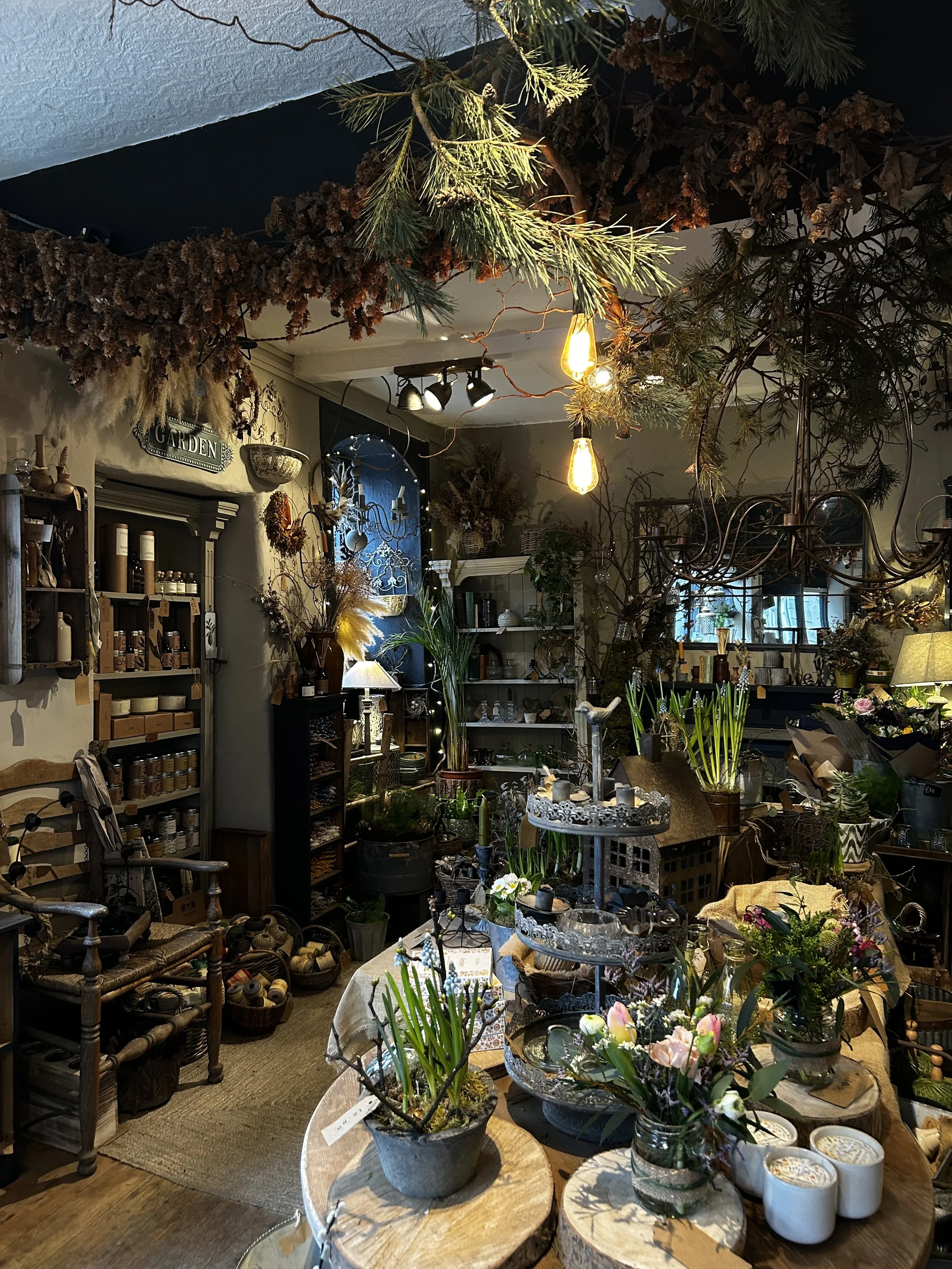 Independent retail interior filled with plants, flowers and homeware.