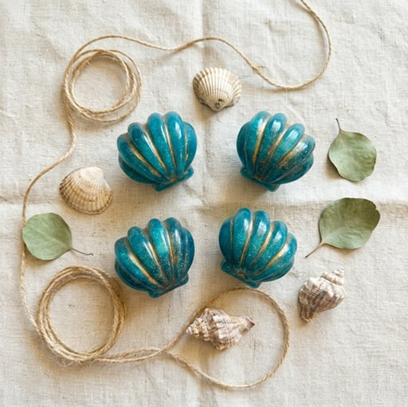 shells 1.png