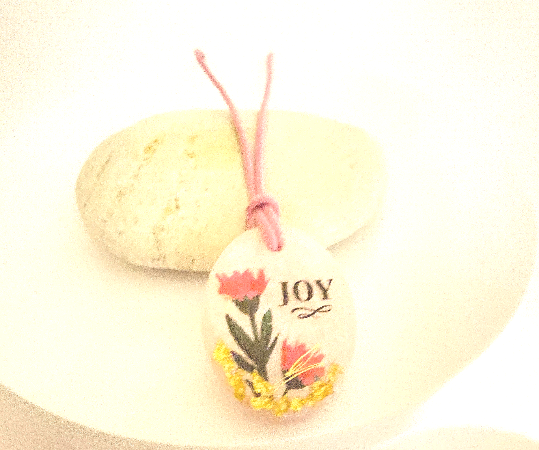 IMG_1855.png