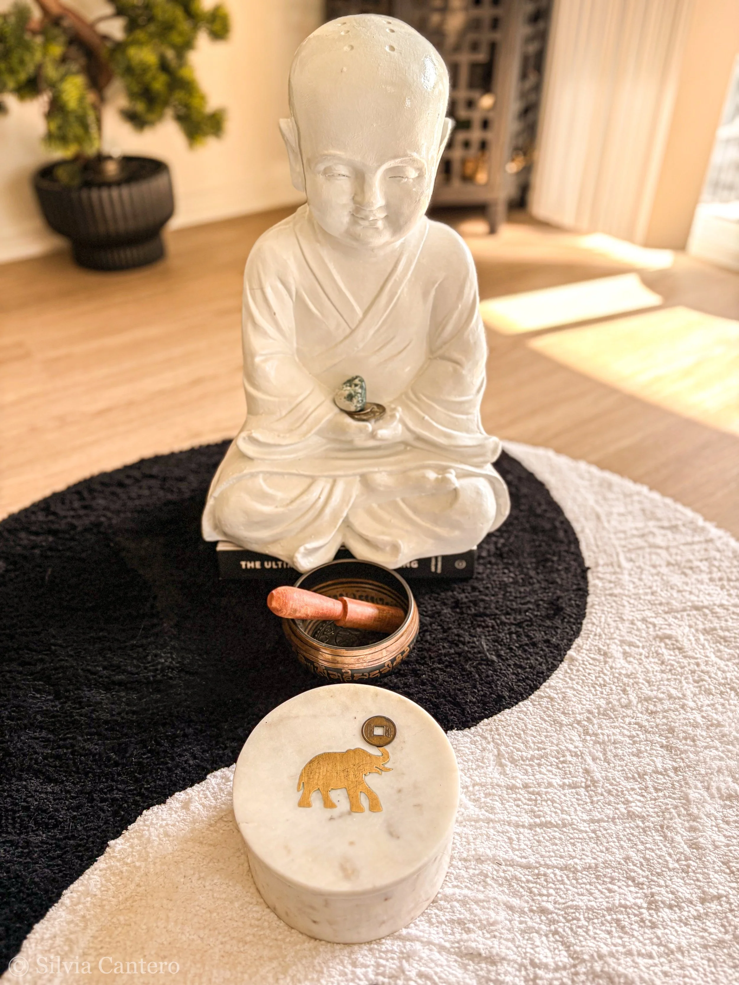 A small white statue of a smiling young Buddhist monk, sitting cross-legged with hands in lap, placed on a round white platform with a lion-shaped emblem. In front of the statue, there is a small container with coins and a wooden spoon. The backgroun