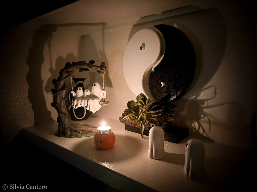WebZennetDesigns-33.jpg