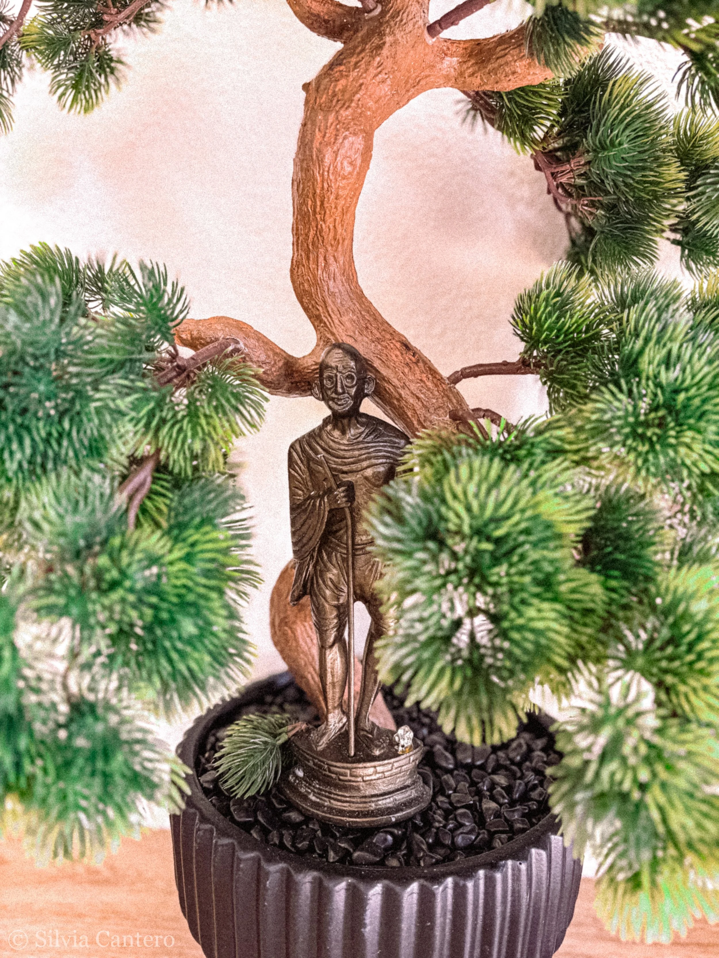 A decorative miniature figure of Mahatma Gandhi standing in a black pot with green pine branches around it.