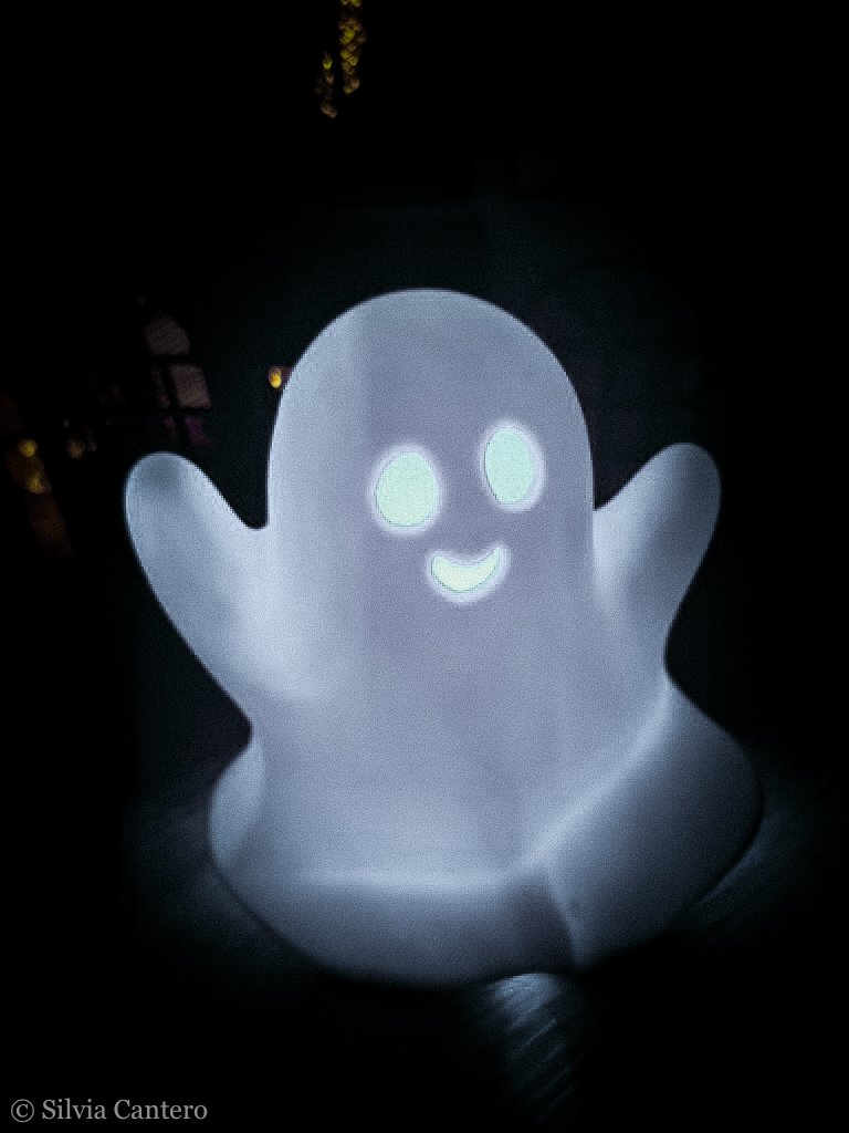 WebZennetDesigns-23.jpg