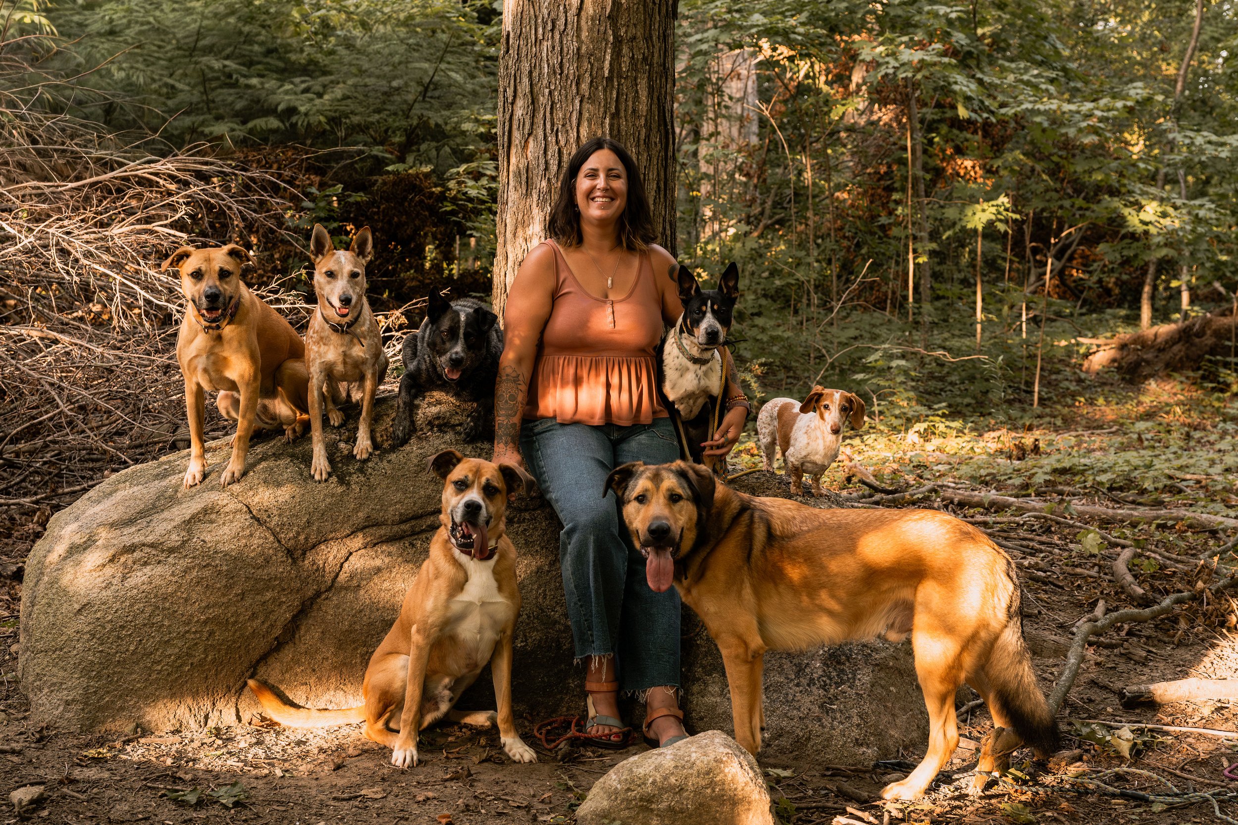 A woman sitting on a rock in a forest surrounded by 10 dogs of various breeds