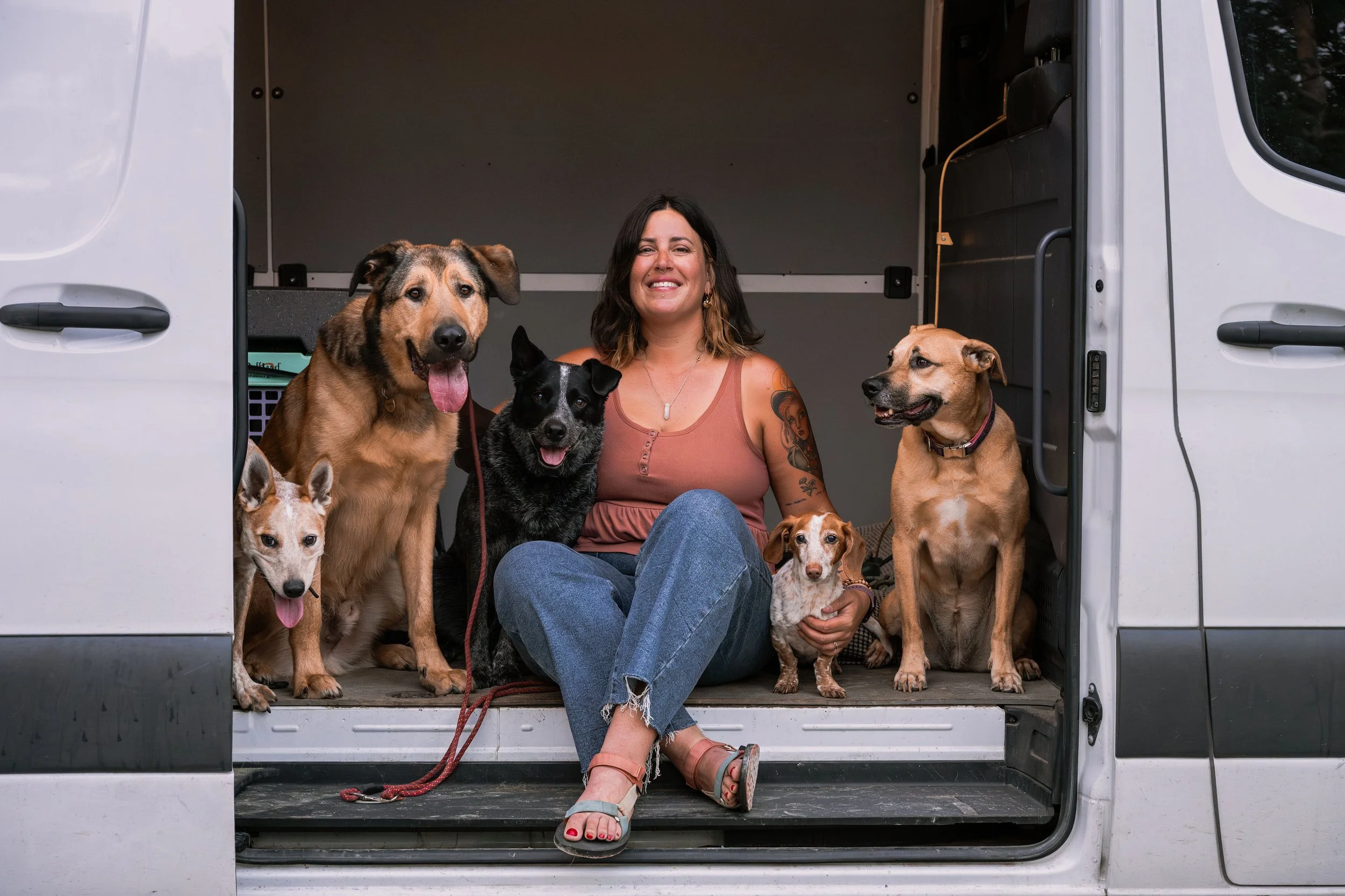 Woman sitting in the open back of a van with several dogs around her, smiling.