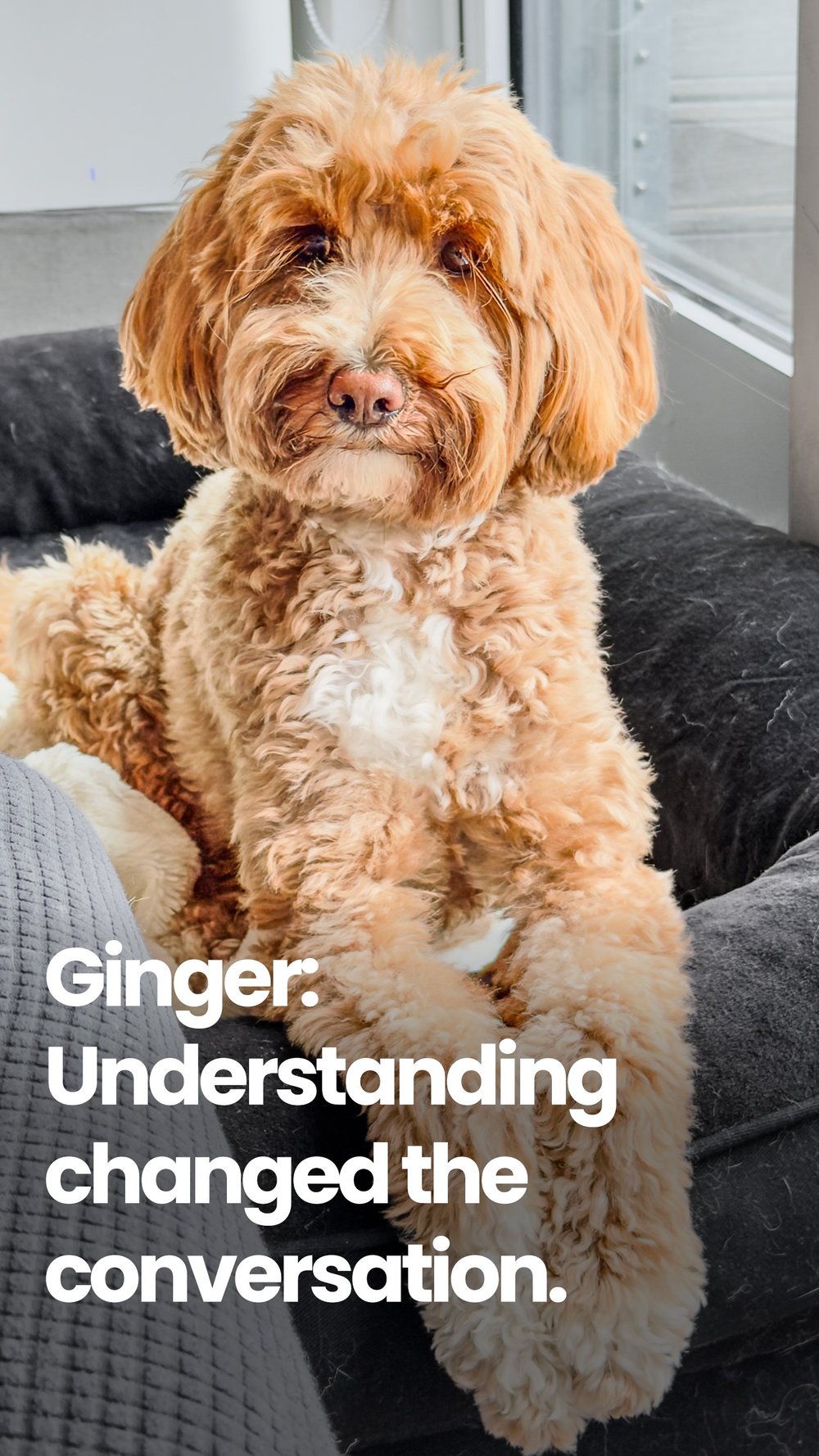 Ginger