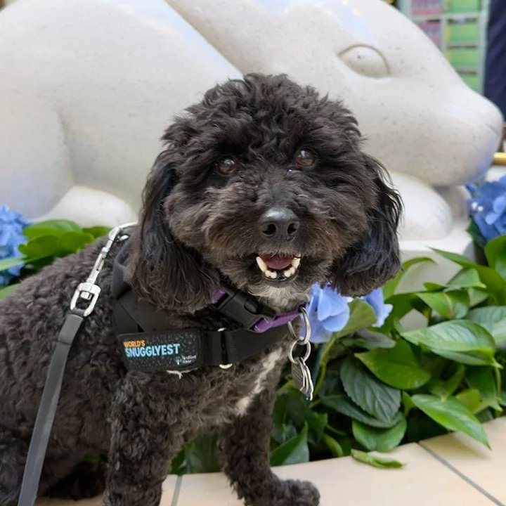 Olive: Learning to Share the Things She Loves