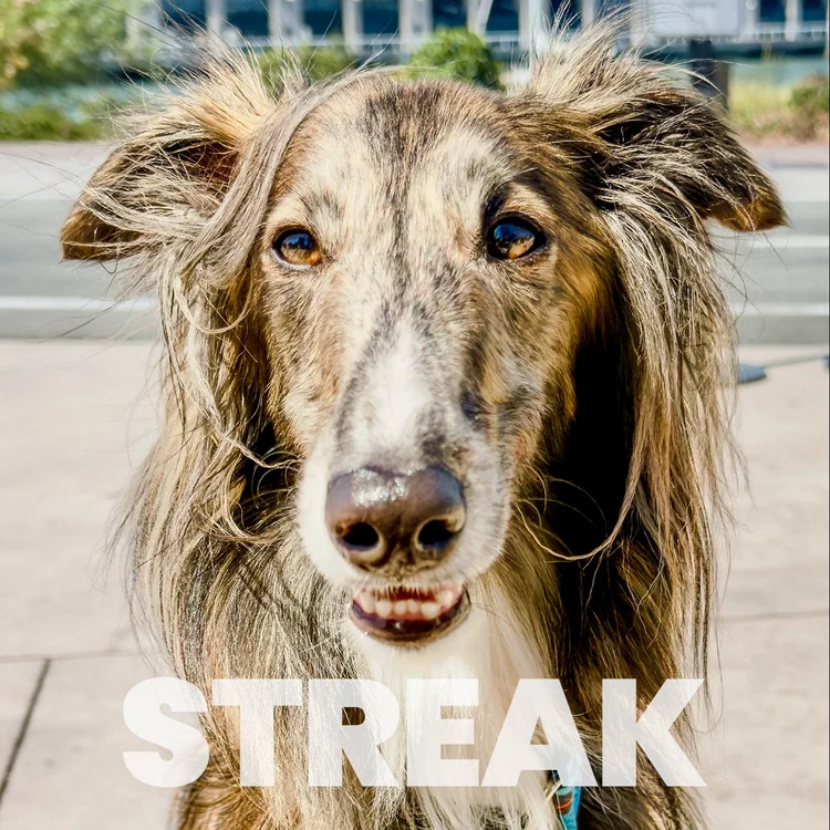 Streak