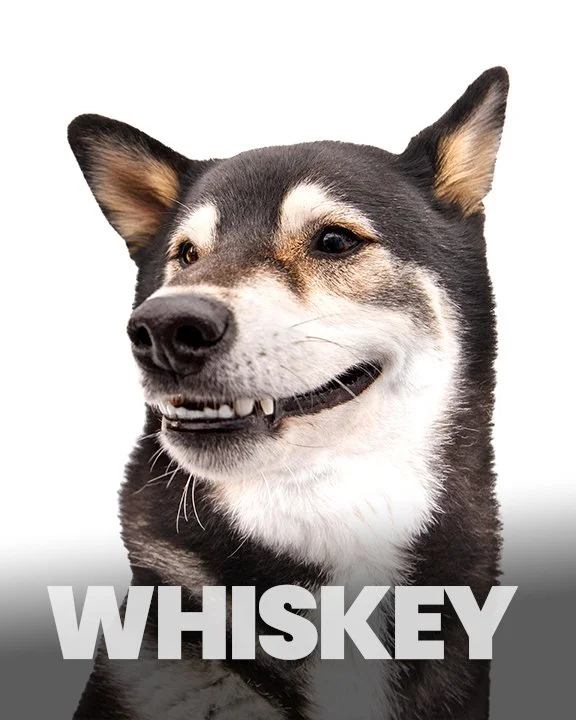Whiskey