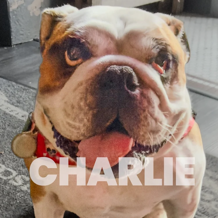 Charlie