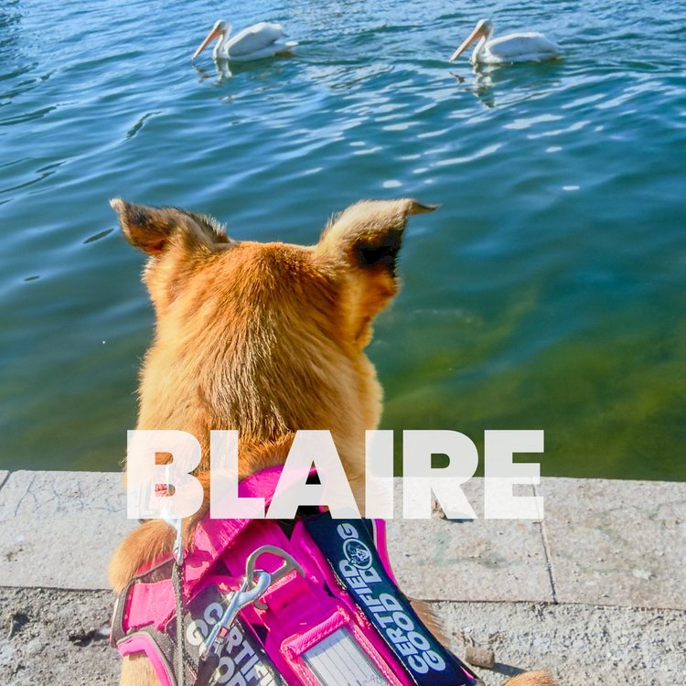 Blaire