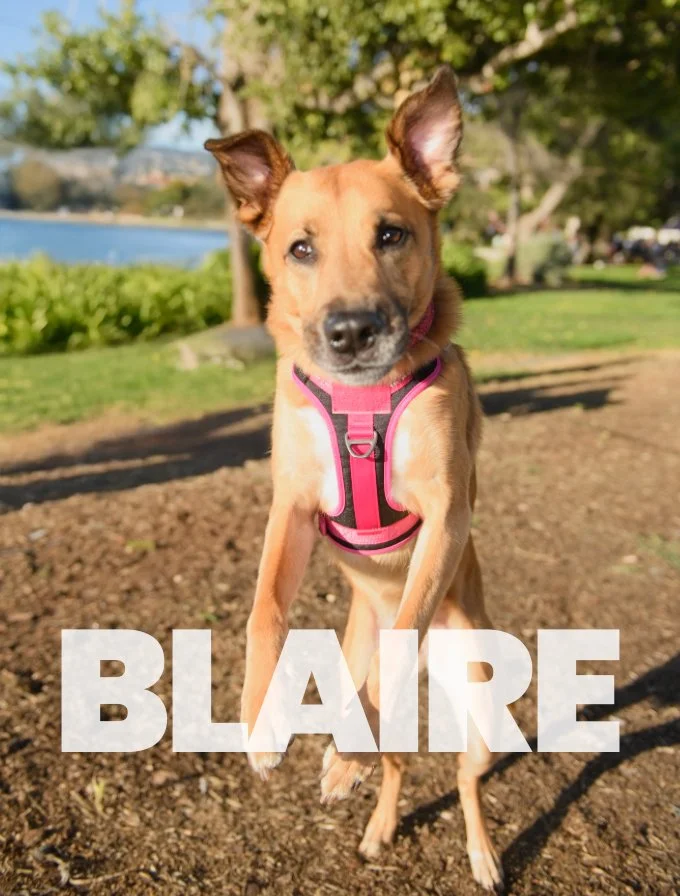 Blaire