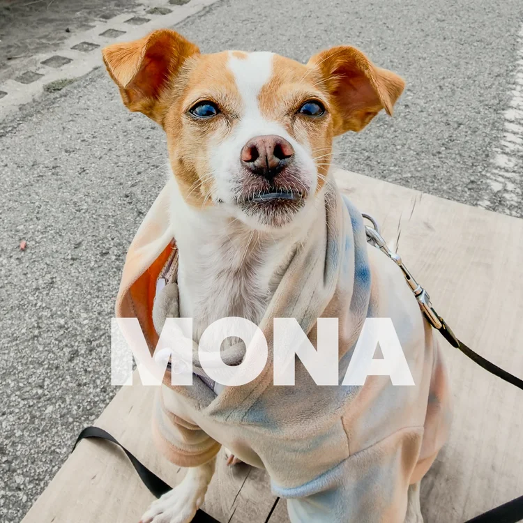 Mona