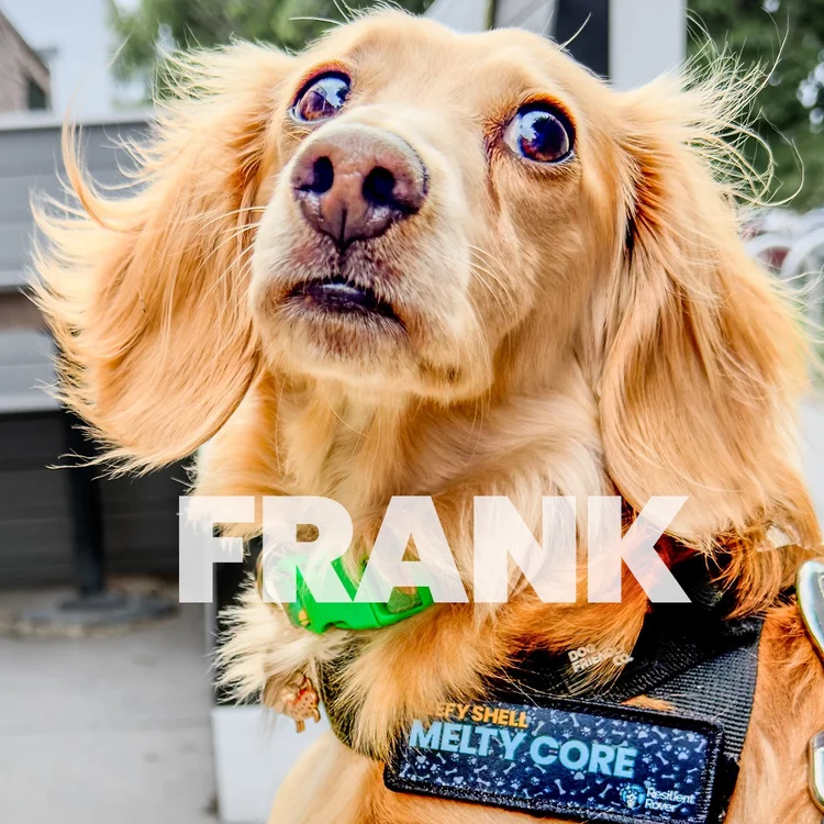 Frank