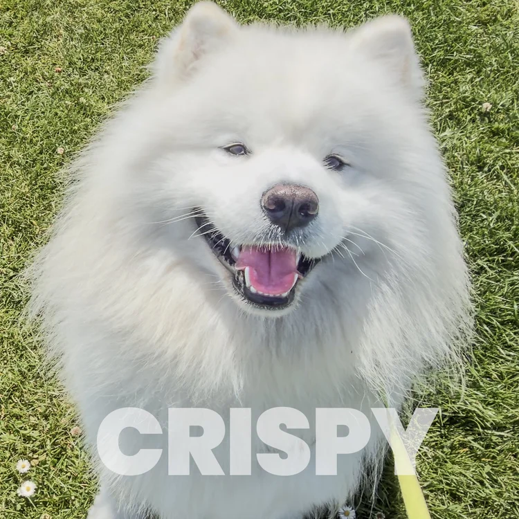 Crispy