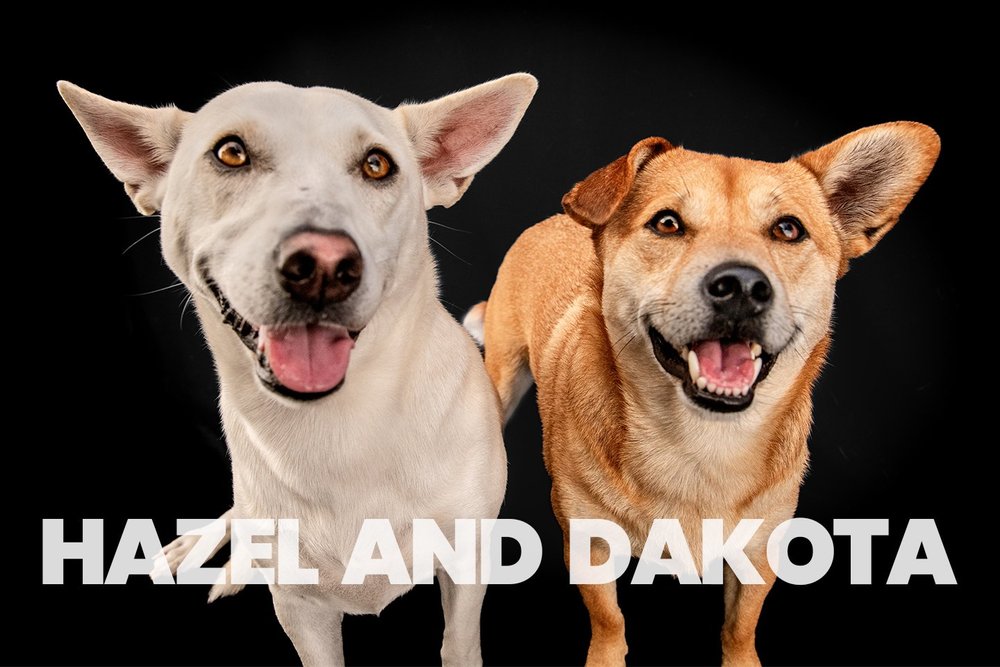 Hazel and Dakota
