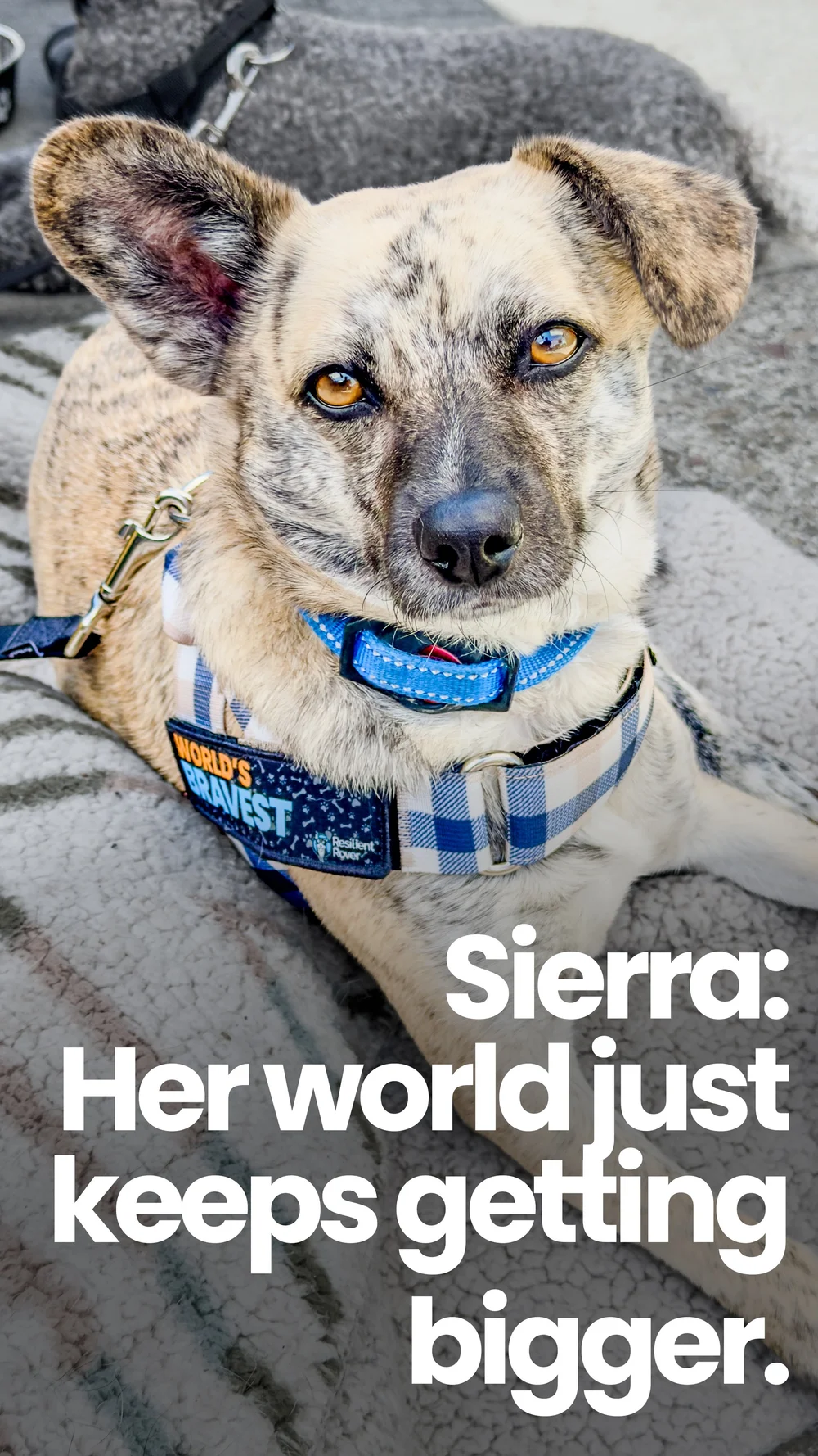 Sierra
