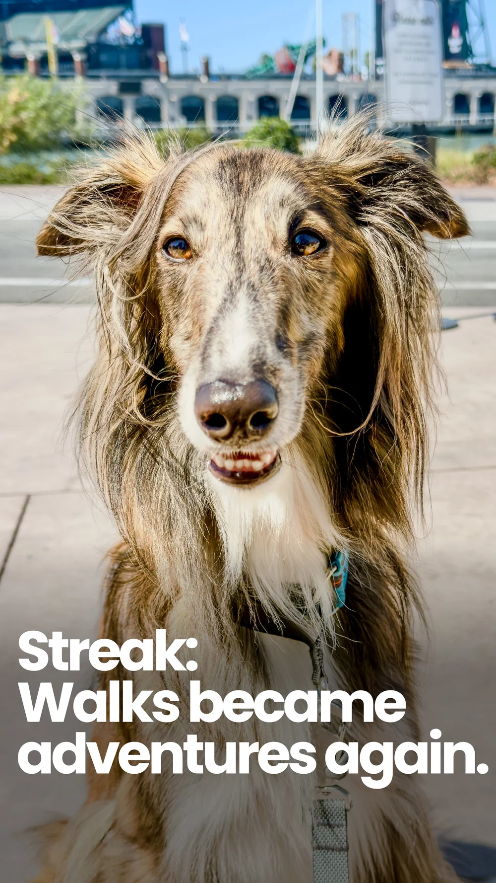 Streak