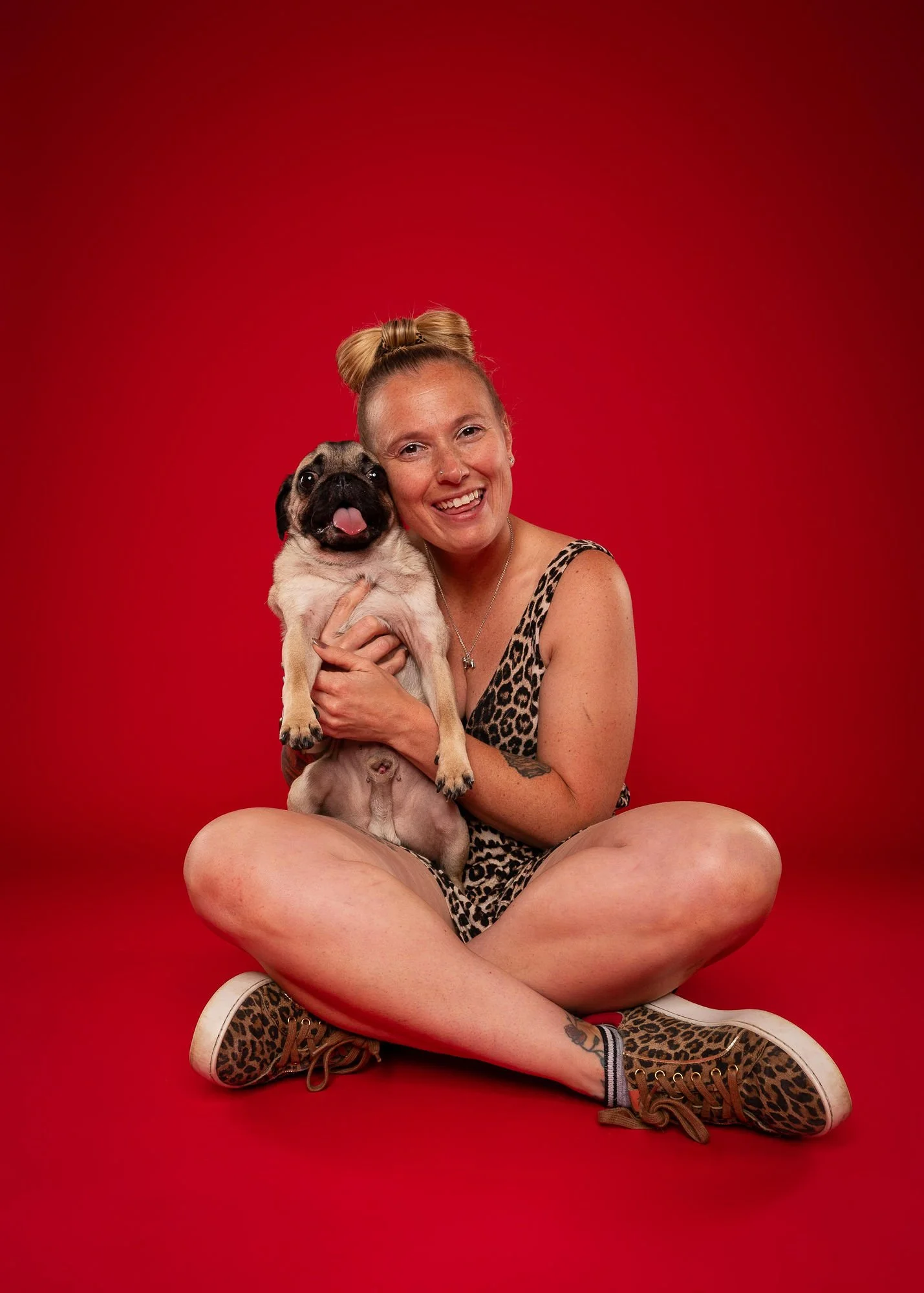 Colourful pet portrait capturing a dog's personality in Lincoln
