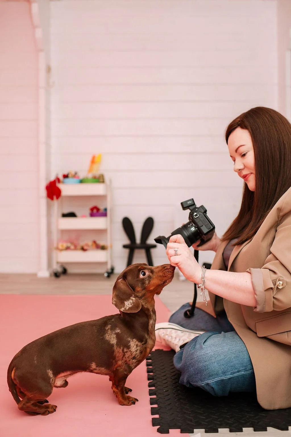 Professional camera photographing a dog during a pet portrait session