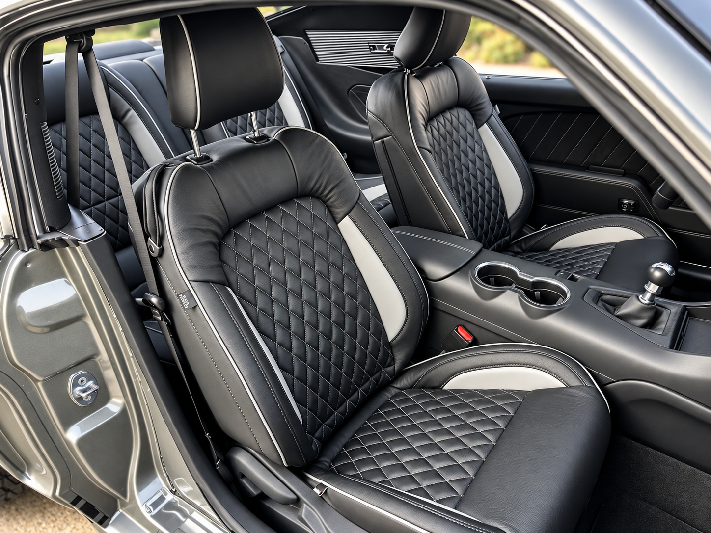 Custom Leather Interior