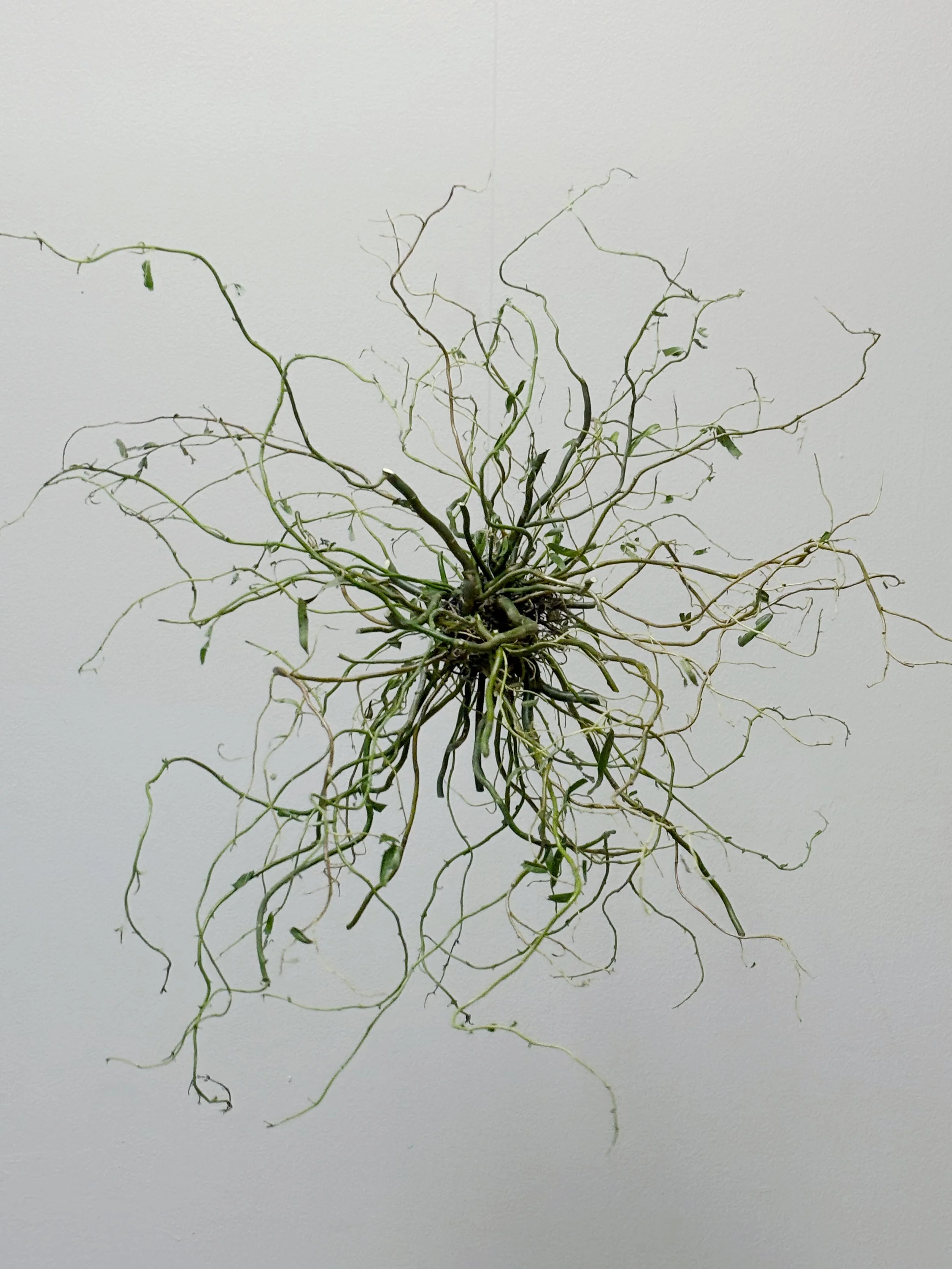 hanging sculpture 2.jpg