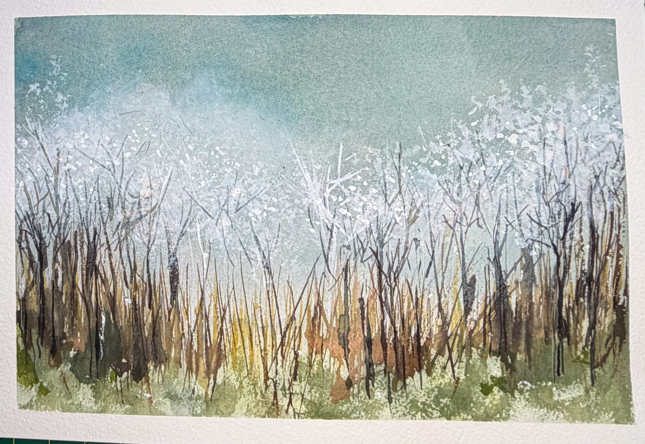 Winter Trails