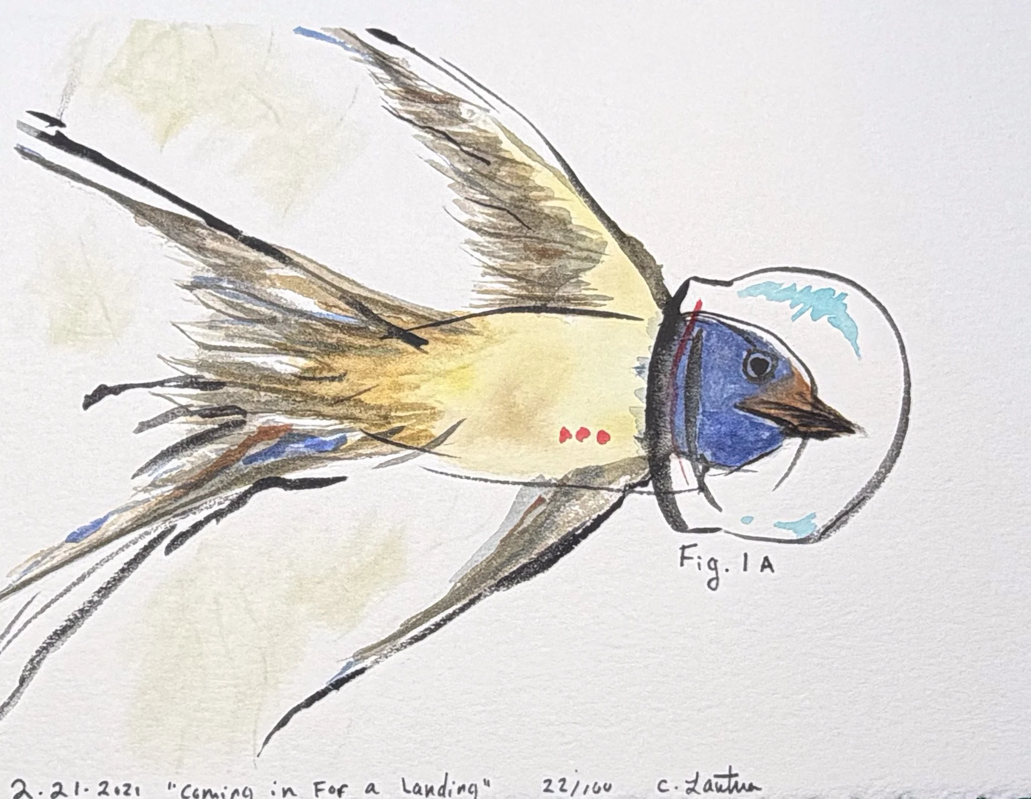 Astronaut Bird